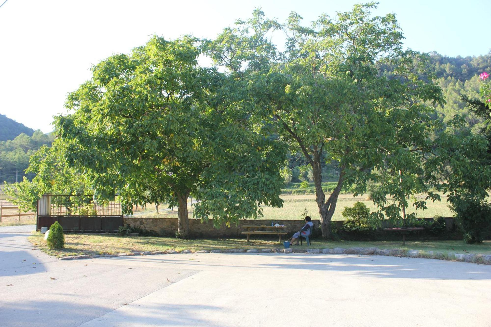Can Carreras Albanya Esterno foto