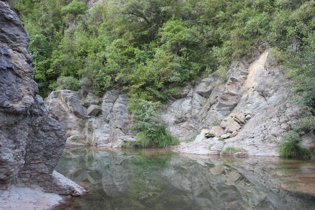 Can Carreras Sant Llorenc de la Muga Esterno foto