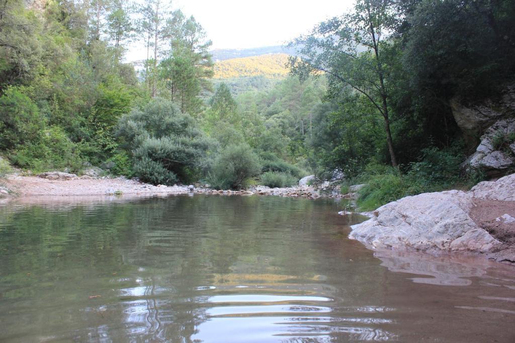 Can Carreras Sant Llorenc de la Muga Esterno foto